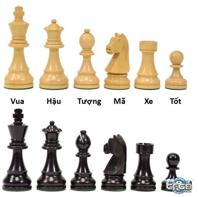 Huong dan co vua - Thông tin về bộ cờ vua