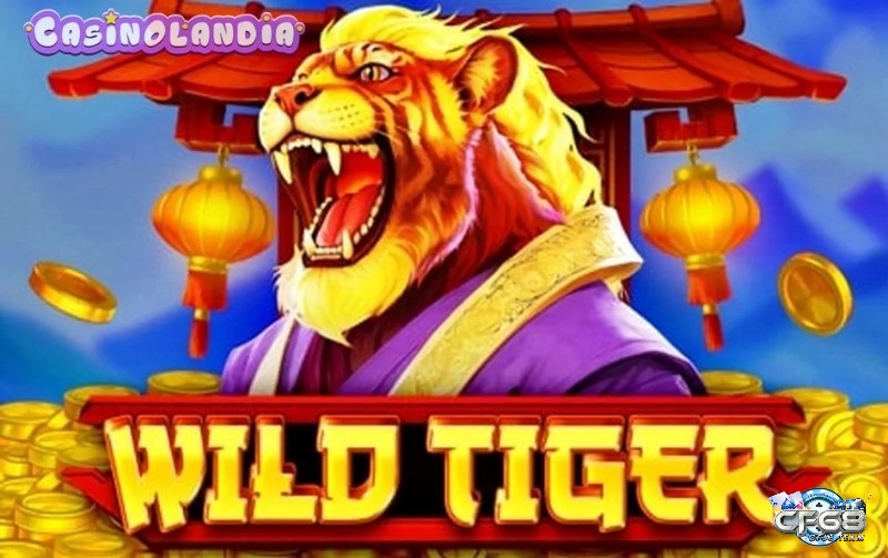 Chủ đề trong Game Slot Wild Wild Tiger đầy hấp dẫn độc đáo
