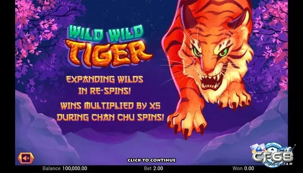 Cách chơi Game Slot Wild Wild Tiger dễ điều hướng và tùy chỉnh