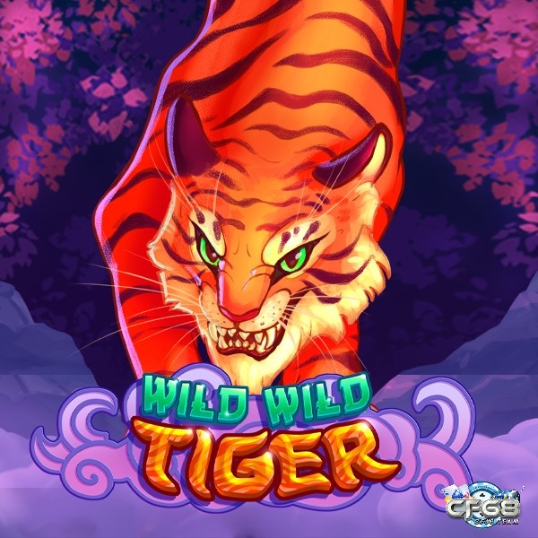 Tìm hiểu thông tin về máy đánh bạc game Slot Wild Wild Tiger